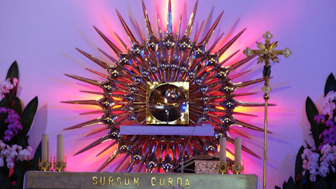 Obraz zawieraj�cy kwiat, tekst, fioletowy, na wolnym powietrzu

Opis wygenerowany automatycznie